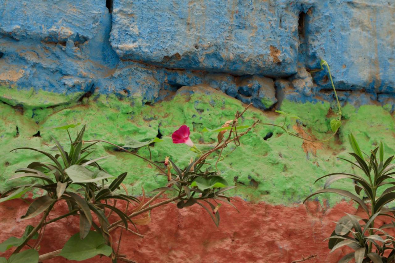 Riad Maryam Taroudant Exterior photo